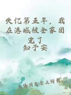 失忆第五年，我在港城被全家团宠了