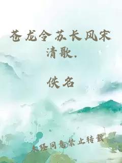 苍龙令苏长风宋清歌.